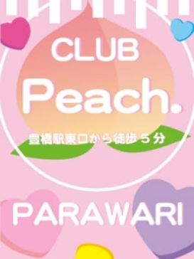 2023年に訪れた愛知県豊橋市の様子。 フィーリングカップルって出会いを提供する場なのかと思ったら、普通にピンサロなのね😊  あと、三陽荘の鑑札を撮るの忘れた！