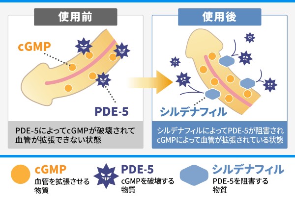 ラブグラ（女性用バイアグラ）の口コミ【体験談や評判をレビュー】｜あんしん通販マート