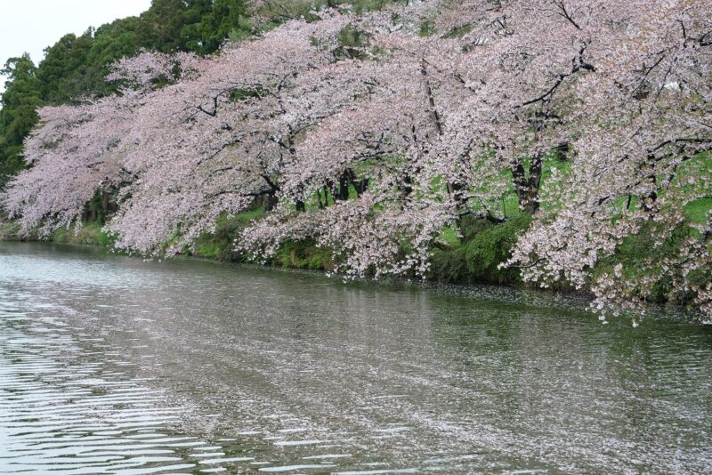 国土交通省 高田河川国道事務所 (@mlit_takada) / X