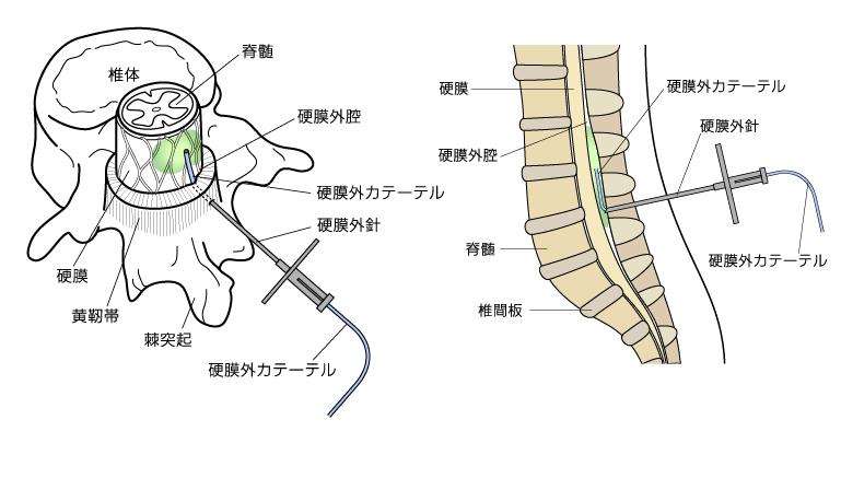 魔空の迷宮すごろくモンスター・3弾42/44種セミコンプ - ゼウスの森