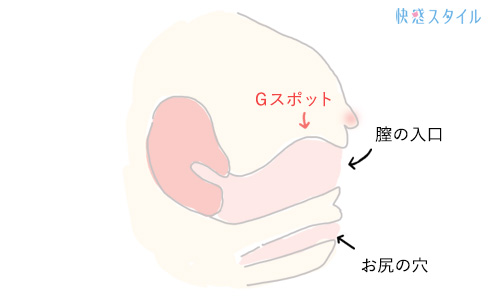 後背位の快感を体感せよ！バックを悶絶する程気持ちよくする方法！ | とろりん