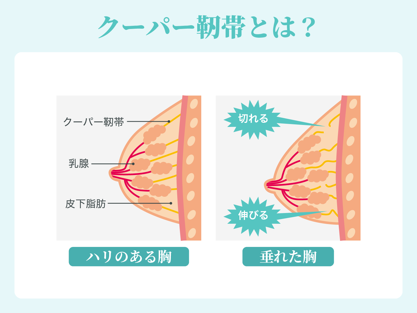 Iカップグラドル和地つかさ、胸元ゆるゆるのタンクトップ姿で“女豹のポーズ”…大胆衣装で“国宝級Iカップ”躍動 | WEBザテレビジョン