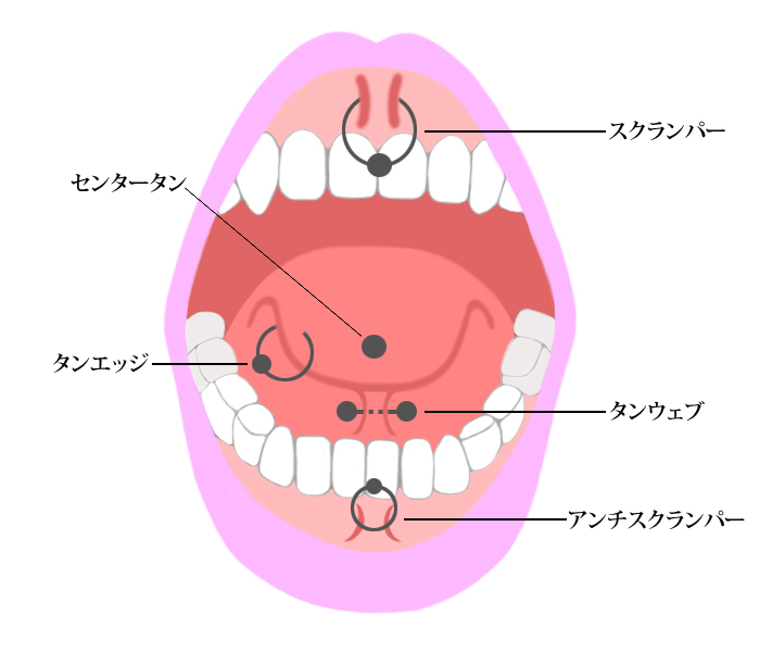 とても危険な「舌ピアス」「口唇ピアス」・・・トラブルとその理由 | 京都 ・