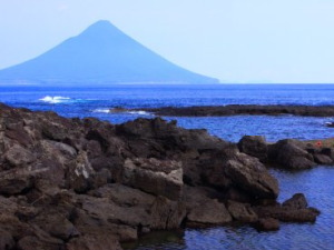 観光・宴会・コンパニオン派遣｜鹿児島コンパニオン｜コンパる？