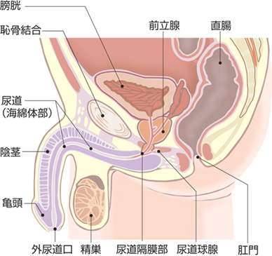 今年度も新卒研修担当に任命していただきました。気まずいので「TikTokはやっていいですか？」とか質問されませんように。普段の業務にプラスαで研修担当なのでこの時期は激務になるけど会社の未来を担う子たちの育成を任せていただき光栄です。面倒見の良いお姉さんなんだよ実は。#OL  #新卒 #研修 #スーツ