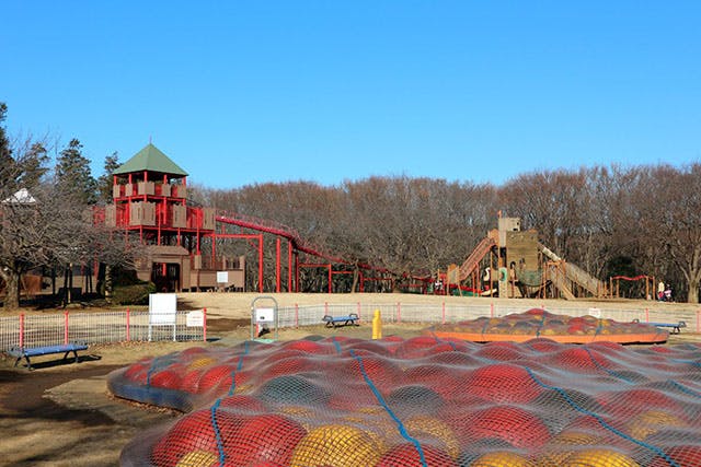 千葉県立行田公園（千葉県船橋市）| PARKFUL公園をもっと身近に、もっと楽しく。