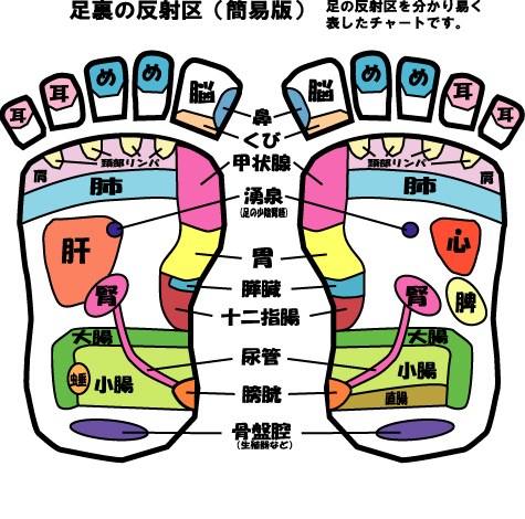 リフレクソロジーフットオイルケア スクールのテクニック解説 -