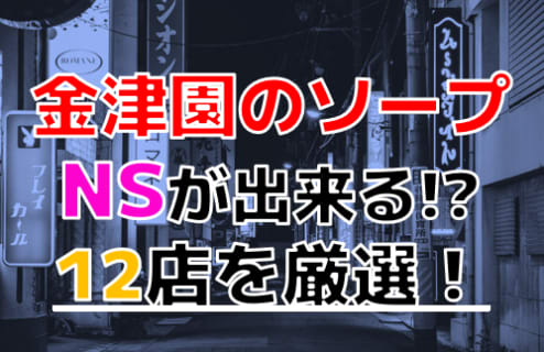 岐阜の金津園はNS/NNできるソープばかり！厳選の16店を紹介！ | 珍宝の出会い系攻略と体験談ブログ