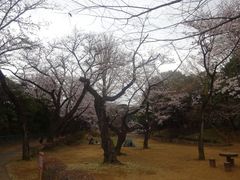 舞浜・浦安・船橋（千葉県）の動物園｜こころから