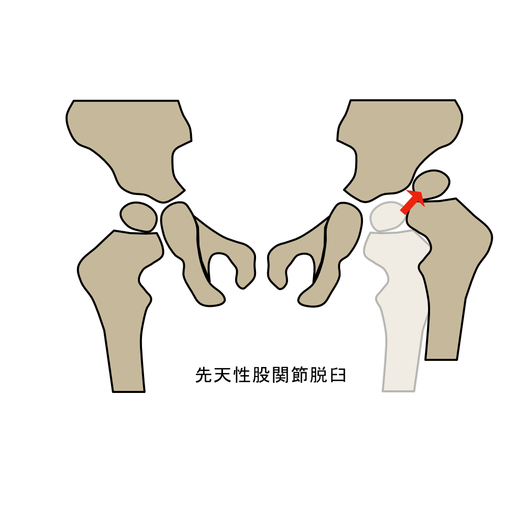 楽天市場】しめ小股の通販