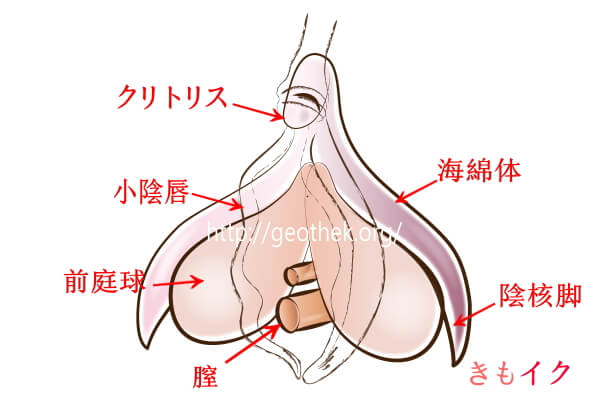 50%OFF】風俗嬢とクリトリス大好き彼氏 5本目 [スタジオもんぶらん] | DLsite