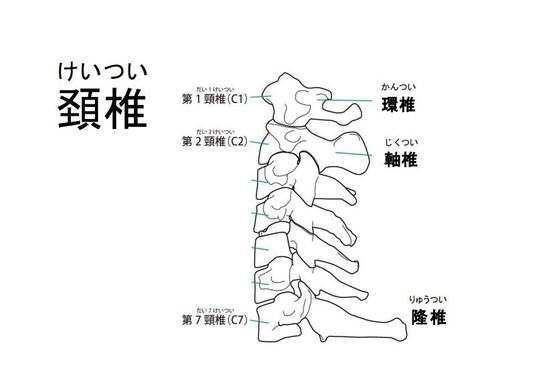 お骨について | 京滋エンジニアリング｜ペット火葬炉・火葬車の製造・販売｜開業支援