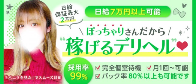 相模原市 送りドライバー求人【ポケパラスタッフ求人】