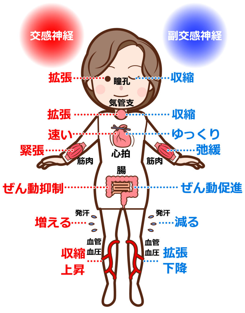 ナラティヴ・エクスポージャー・セラピー（ Narrative Exposure Therapy:NET）による複雑性