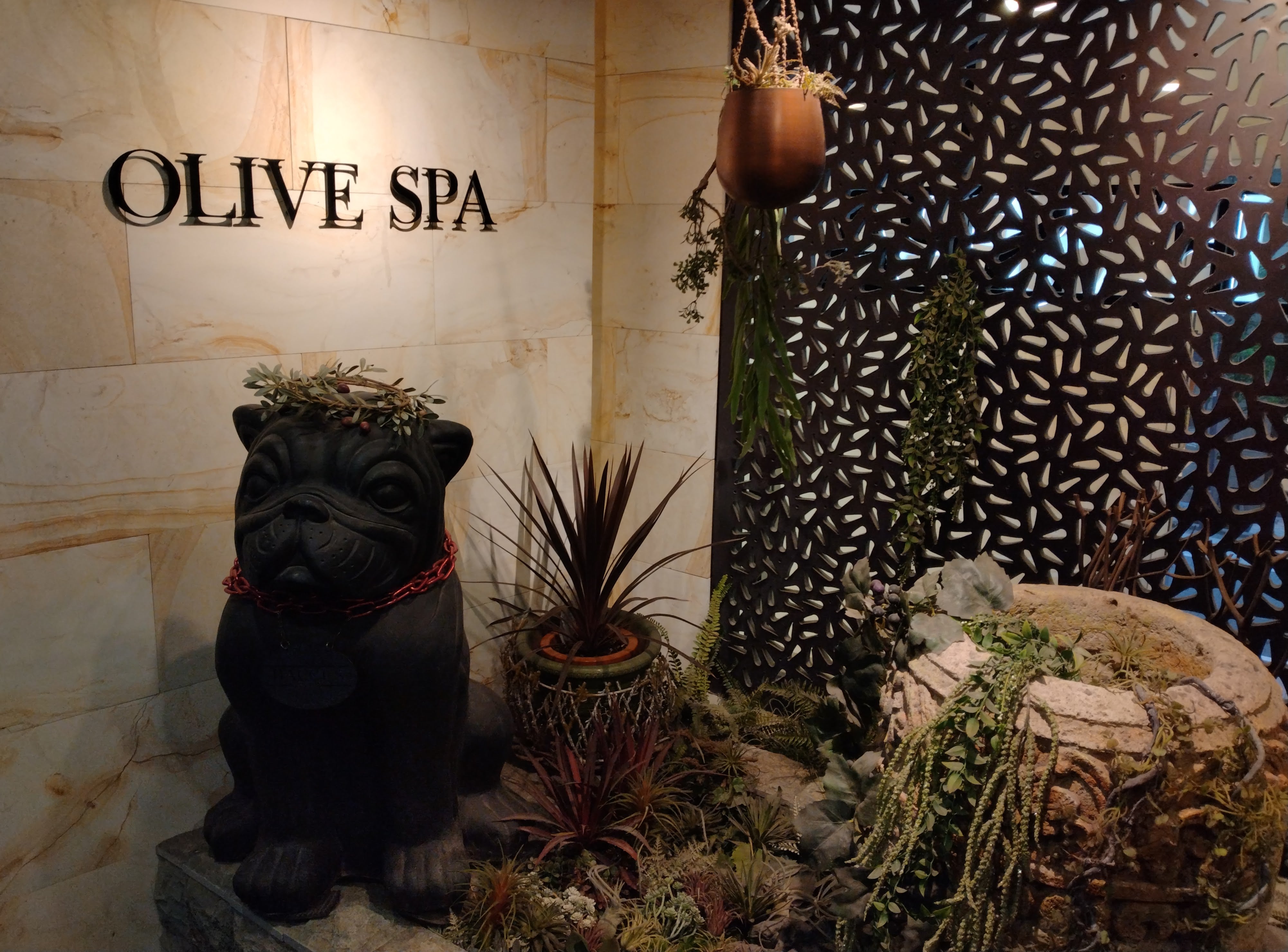 オリーブスパ 六本木店(OLIVE SPA) |