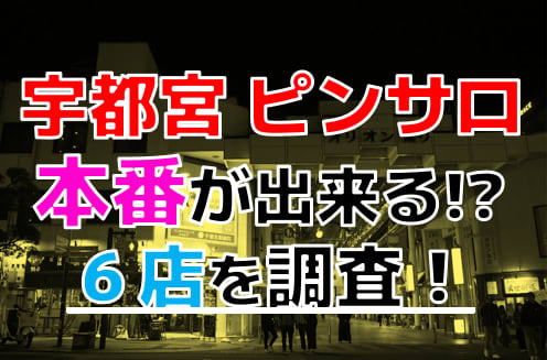 栃木で風俗のお仕事！宇都宮・小山・那須塩原の特徴をご紹介！ - バニラボ