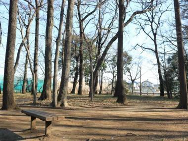 祖師谷公園 スケートボードエリア（そしがやこうえん すけーとぼーどえりあ） |