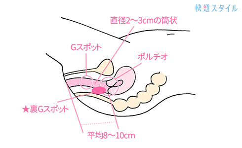 アナニーとは？その意味や方法、安全に楽しむためのポイントを徹底解説 - エロティックガレージ【アイコラム】