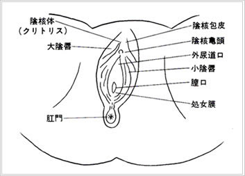 大きすぎるクリトリスの形を整える/千葉 横浜のサンライズ美容外科