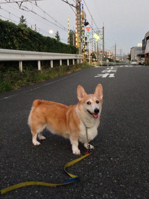 ひな 口コミ｜ちらっとエステ 八王子店｜エスナビ