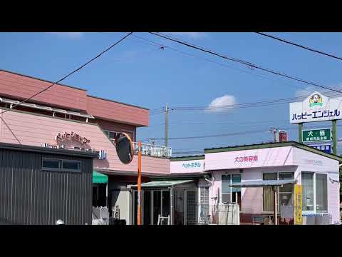 埼玉県深谷市のトリミングサロンHAPPYANGEL