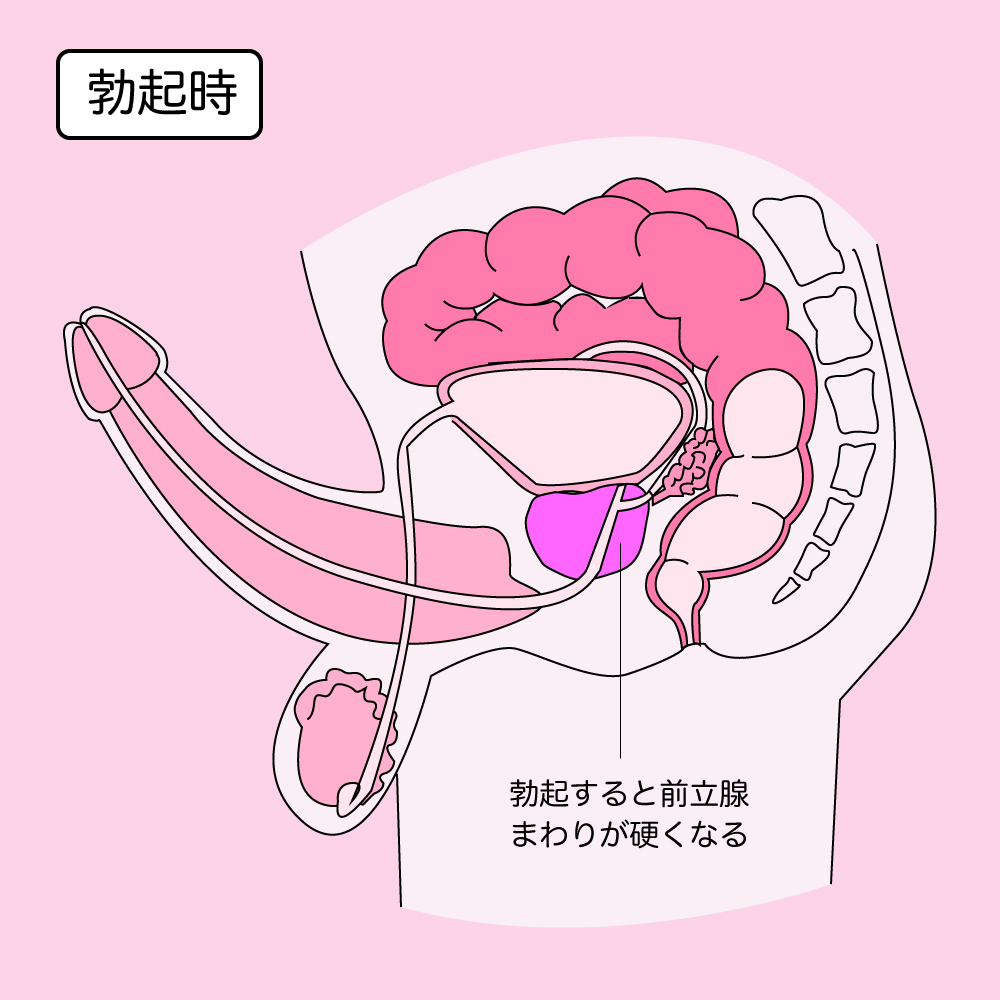 深山(みやま)本手は屈曲位！その体位のやり方をイラスト・画像で解説！ - 夜の保健室