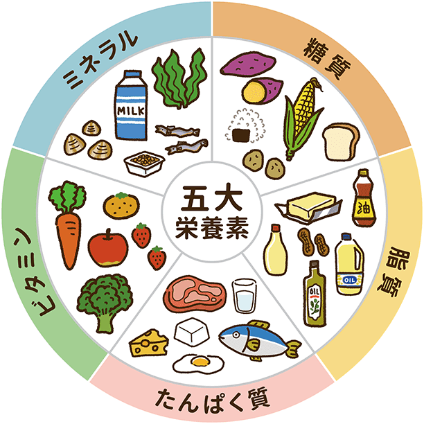 五大栄養素とは？健康寿命の延伸に役立つ栄養素を解説 | 健康と栄養 | 味の素グループ