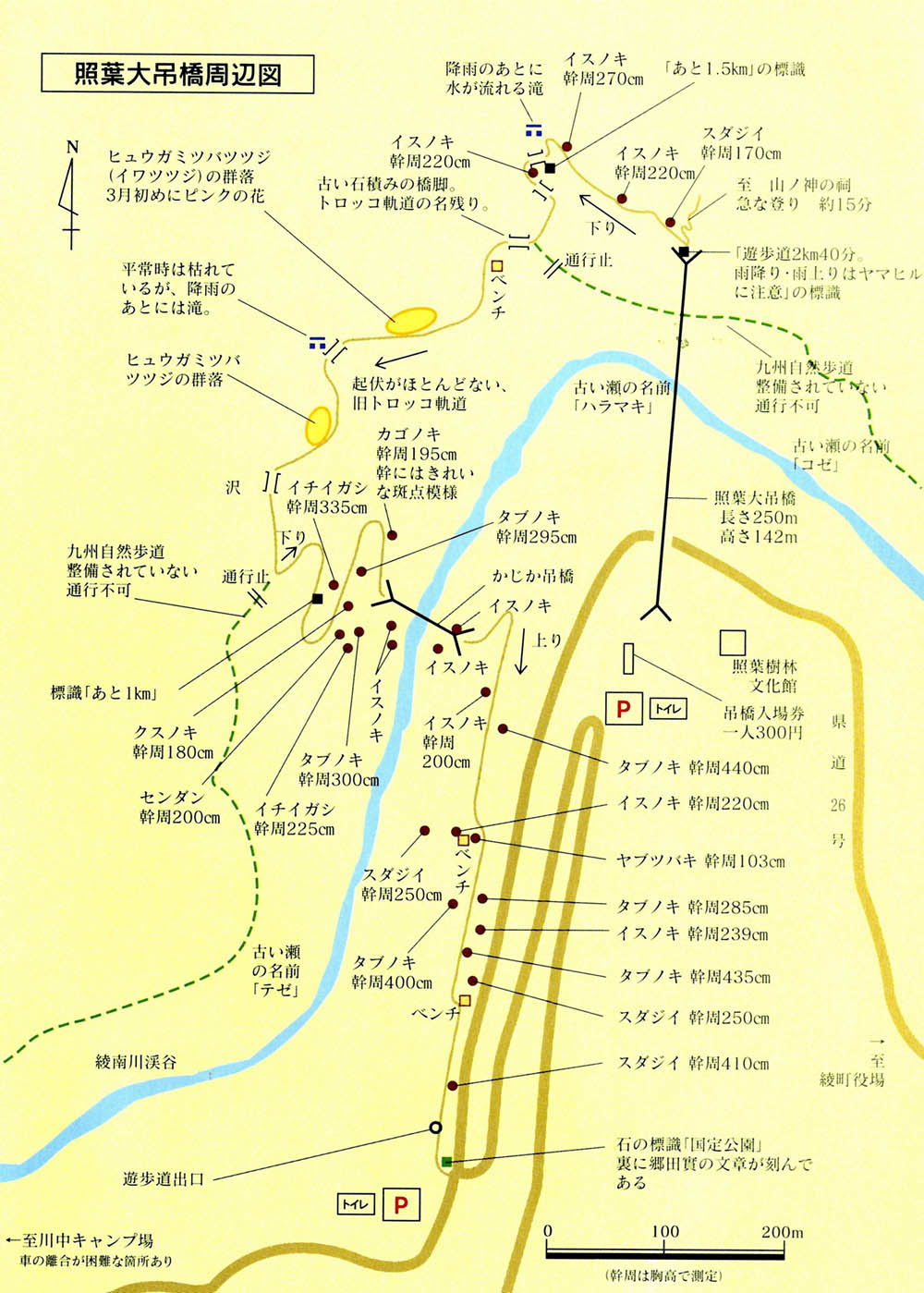 照葉大吊橋 - 綾町ホームページ