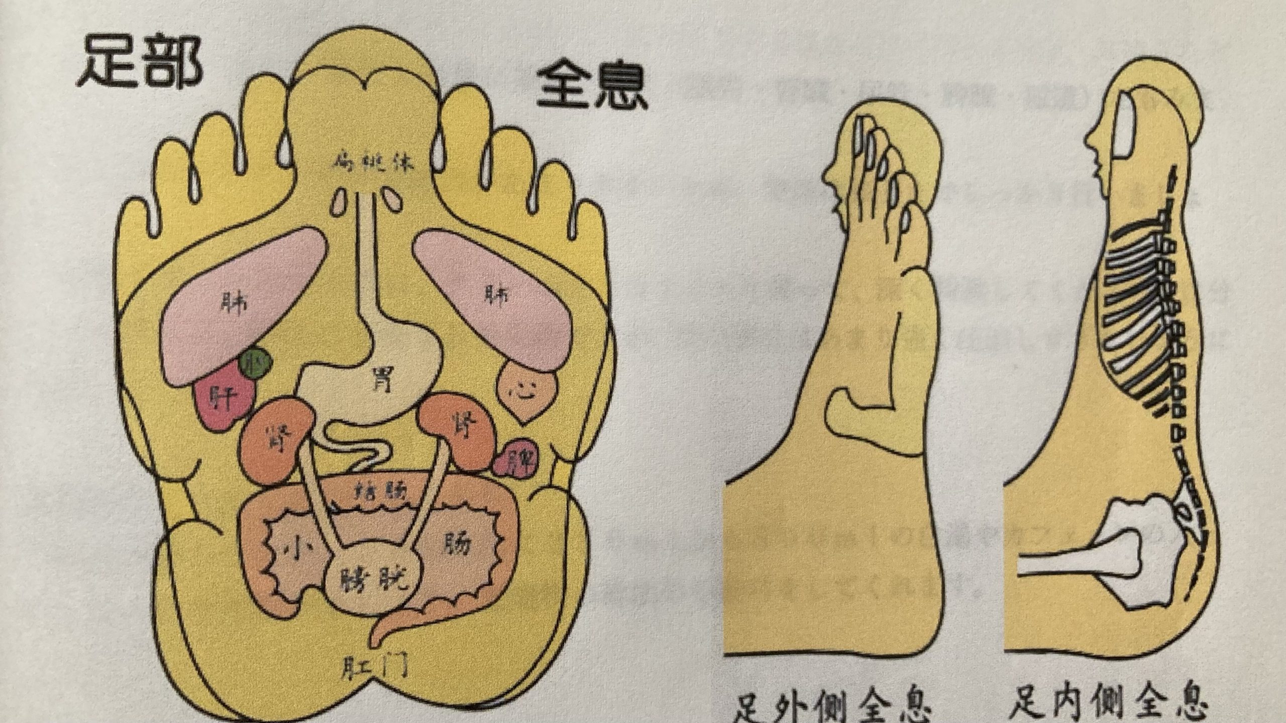 足つぼでむくみ対策！】豊橋市の足つぼマッサージ（足裏・フットケア）が人気の厳選サロン19選 | EPARKリラク＆エステ