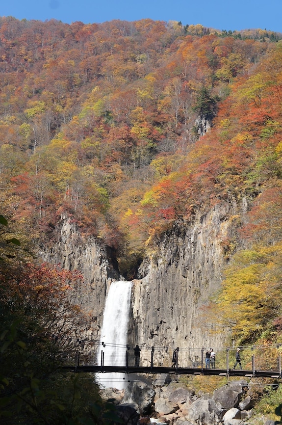 森のログホテル カムループス 口コミ、宿泊料金、写真