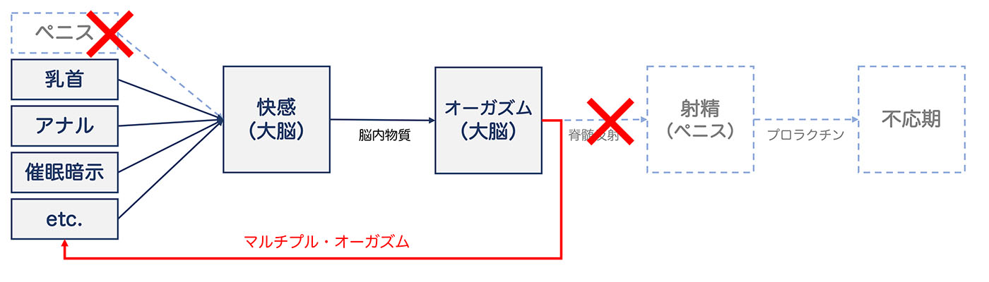 RJ202341 催眠律動音響100_ドライオーガズム -