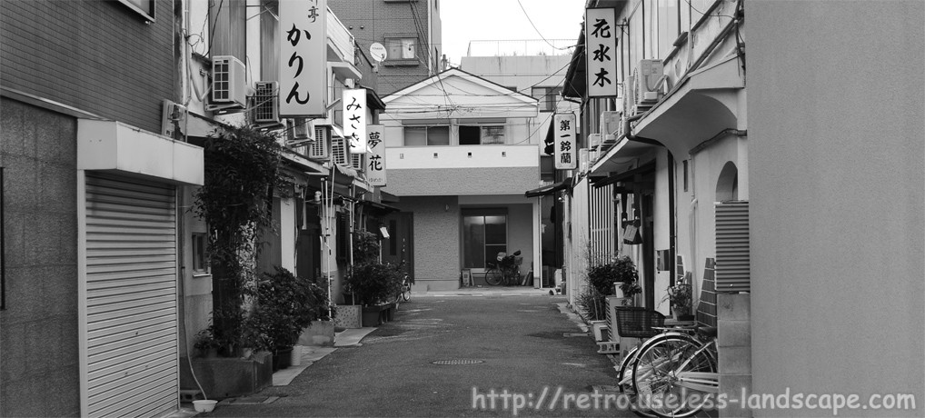 【歴史】日本の遊郭　大阪五大新地　信太山新地を散歩