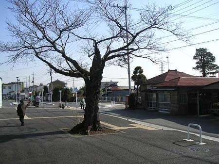 ＪＲ五日市線武蔵増戸駅／ホームメイト