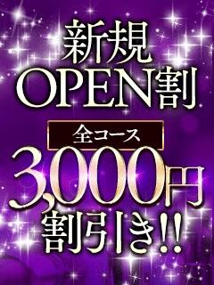 ミセス東京（ミセストウキョウ）の募集詳細｜東京・吉原の風俗男性求人｜メンズバニラ