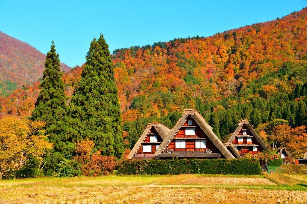 岐阜・岐阜市を街のあの人が案内します。 住んでも旅しても豊かに過ごせる街 〜後編〜 | SAVVY.jp