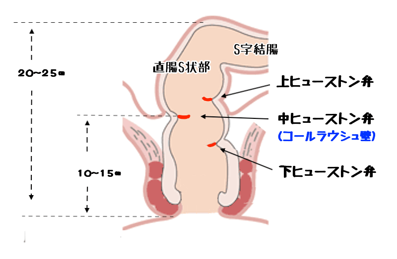 太中で乳首イキ5回結腸イキ5回しないと出られない部屋の話 [はじのたたきうり(しゅうじ)] 文豪ストレイドッグス