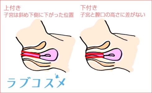 Gスポットはどこにある？ない人もいる？ 見つけ方・開発方法を紹介 |