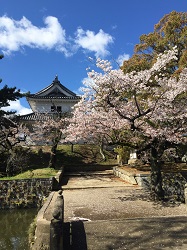 客足変わらず？】土浦桜町に行ってみた【激安ソ〇プ】 - YouTube