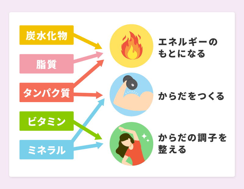 五大栄養素とは？三大栄養素との違いを紹介（超基本） – MCATE-エムケート