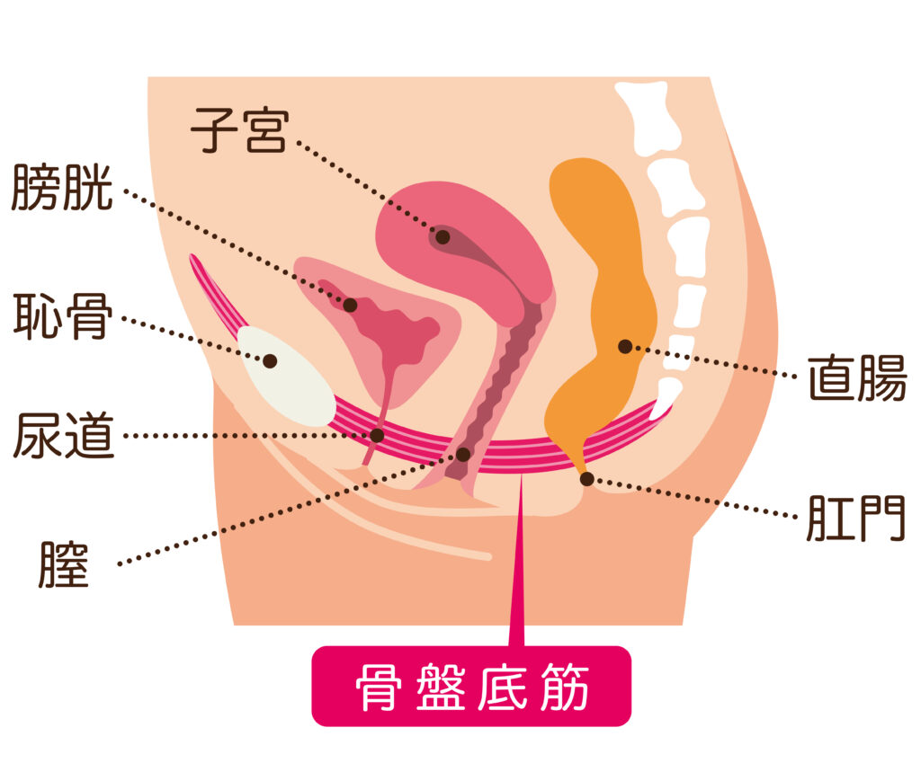 卒業したての女子〇生のまんこの締りが最高でたまらず大量射精