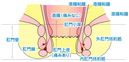 あのちゃん「肩幅ガンダム級ケツデカ女なので…」お尻を強調した写真に反響「スタイル良すぎ」 | エンタメ総合