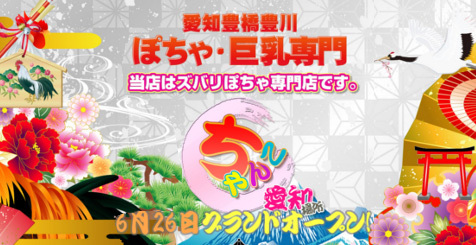 2018年6月ランキング | 豊橋・豊川