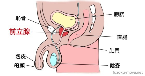 潮吹きさせる方法を徹底解説。潮を吹かせるには3つの条件が必要！