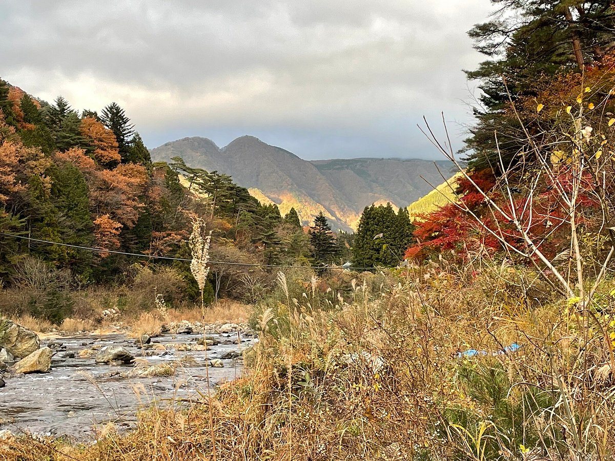 鬼怒川温泉 花の宿 松や(栃木県)への宿泊予約【Jcation】