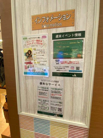 蜂蜜とチーズ BEEHOUSE‐ビーハウス‐ 池袋店 池袋東口/東池袋/居酒屋