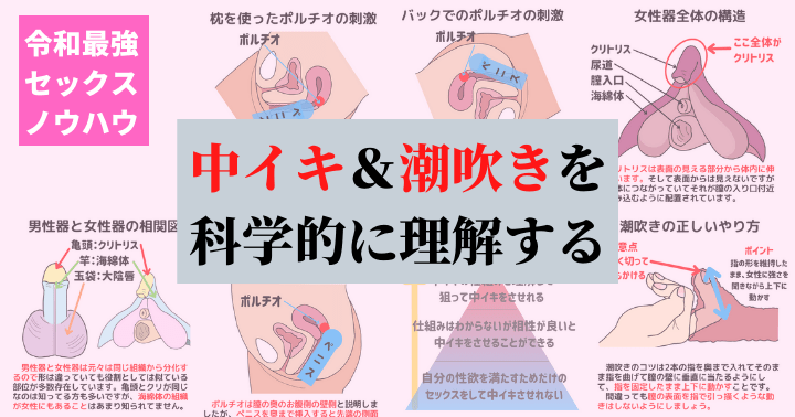 セックス心理学 VOL.2『オーガズム・中イキセックス特集』｜心理学博士ちょっぺ〜先生｜note