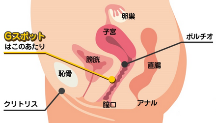 激震x掻き回すx加熱 指舌のW体験 中イキ 潮吹き ５種叩くx10種振動