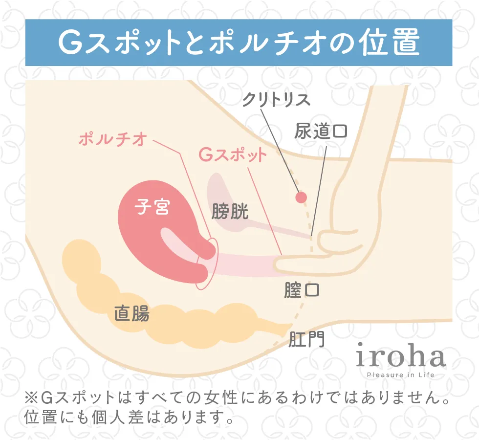 Gスポットはどこにある？ない人もいる？ 見つけ方・開発方法を紹介 | 医師監修 ｜