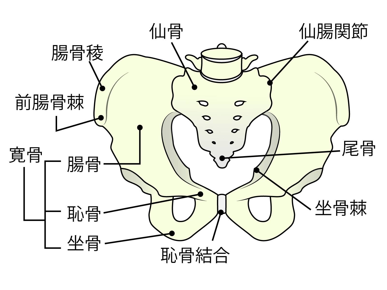 【寝ながらカエル足】今すぐお腹痩せ！背中痩せ！太もも痩せ！寝たままスラっと細くなる！腰痛解消！