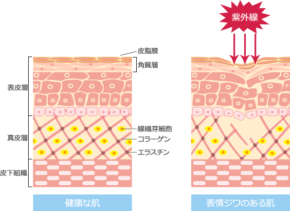 枕は寝る時に外してしまう私。だからこそマットレスは柔らか過ぎず硬過ぎずで選んだのがこちらの13構造のNELLマットレス🛏️,  お得なクーポンコードストーリーにも載せておきま〜す。買い替えを考えているならばぜひ一度試してみてください🫶,